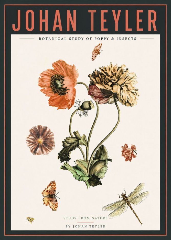 Johan Teyler Botanical Study of Poppy & Insects No4 - Plakát