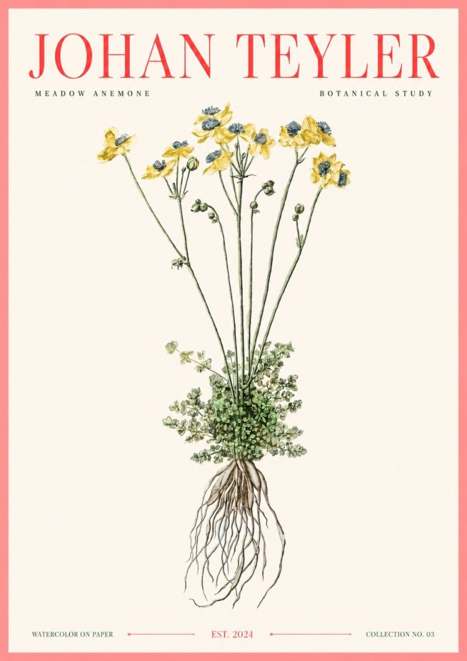 Johan Teyler Meadow Anemone No3 - Plakát