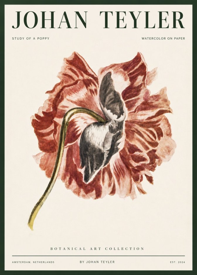 Johan Teyler Study of a Poppy No3 - Plakát