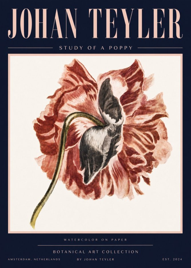 Johan Teyler Study of a Poppy No4 - Plakát