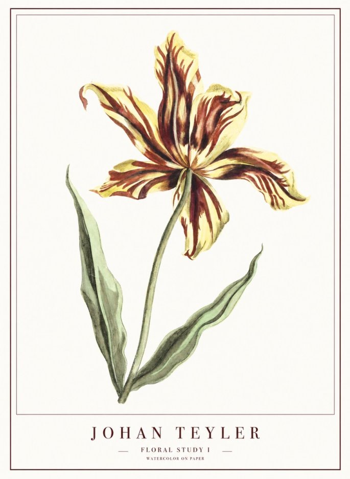 Johan Teyler Floral Study I No1 - Plakát