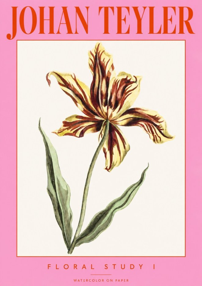 Johan Teyler Floral Study I No3 - Plakát