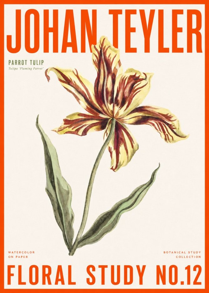 Johan Teyler Floral Study I No6 - Plakát
