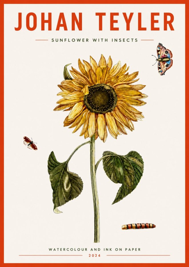 Johan Teyler Sunflower with Insects No4 - Plakát