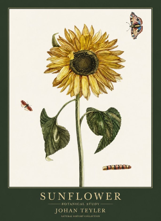 Johan Teyler Sunflower with Insects No6 - Plakát