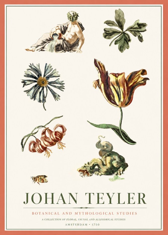 Johan Teyler Botanical and Mythological Studies No3 - Plakát