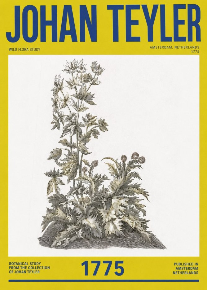 Johan Teyler Wild Flora Study No2 - Plakát