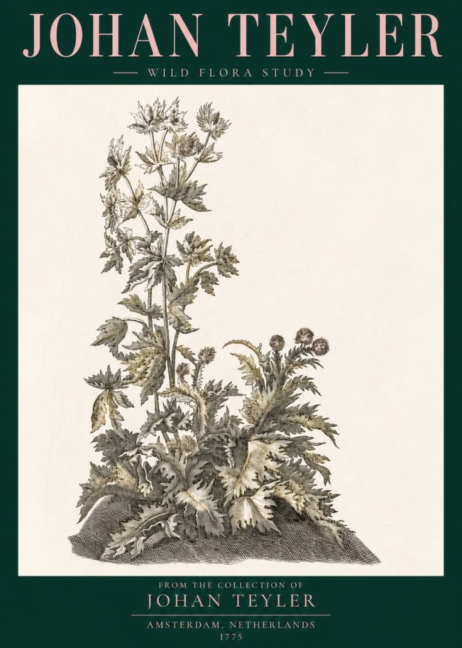 Johan Teyler Wild Flora Study No3 - Plakát