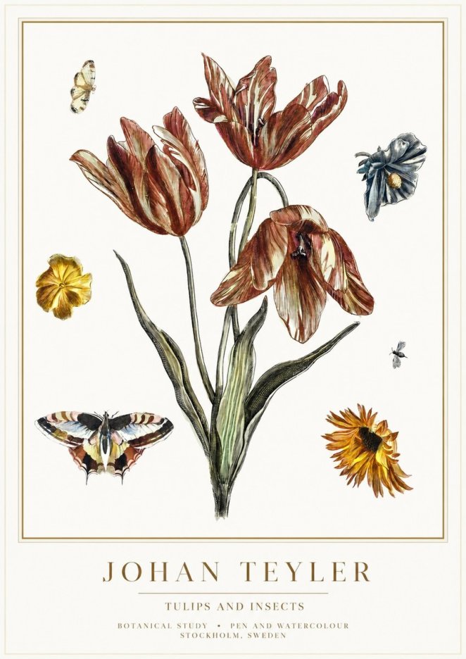 Johan Teyler Tulips and Insects No1 - Plakát