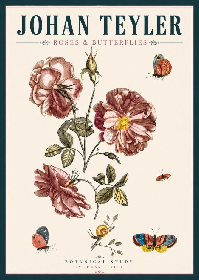 Johan Teyler Roses & Butterflies - Botanical Study No4 - Plakát