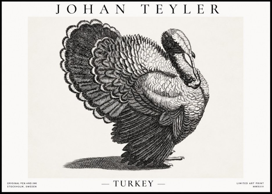 Johan Teyler Turkey No1 - Plakát