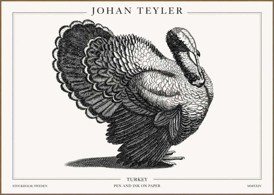 Johan Teyler Turkey No2 - Plakát