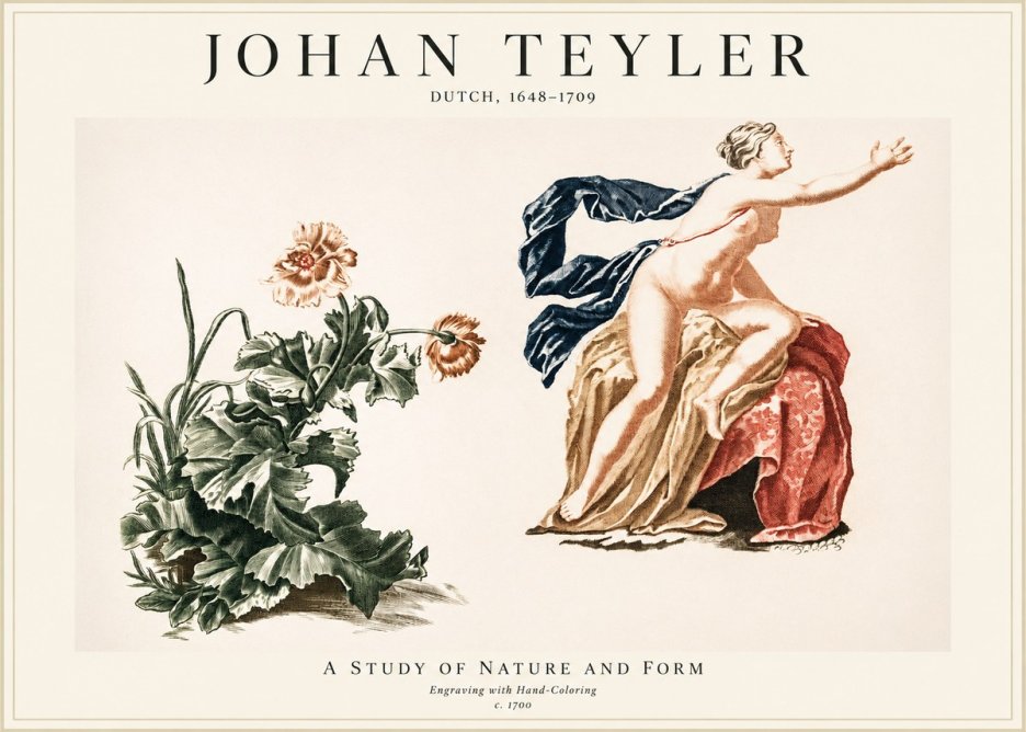 Johan Teyler A Study of Nature and Form No1 - Plakát