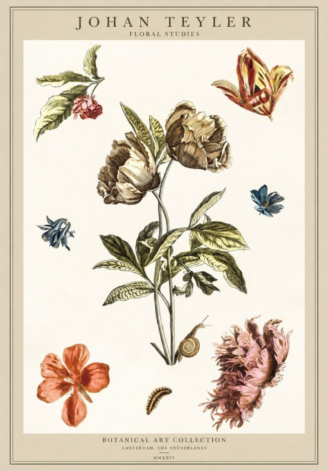 Johan Teyler Floral Studies No1 - Plakát