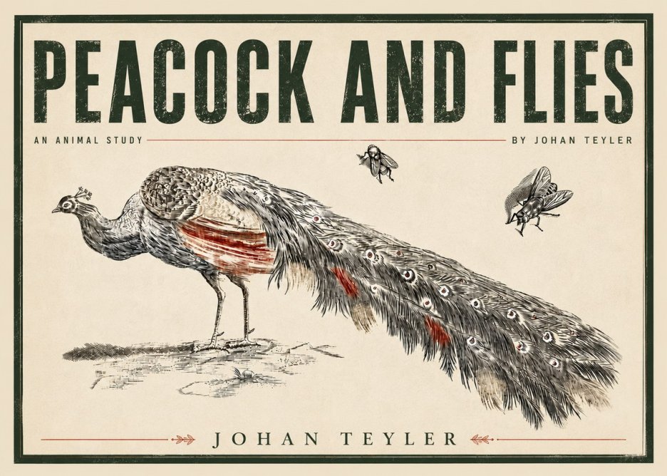 Johan Teyler Peacock and Flies - Animal Study No5 - Plakát