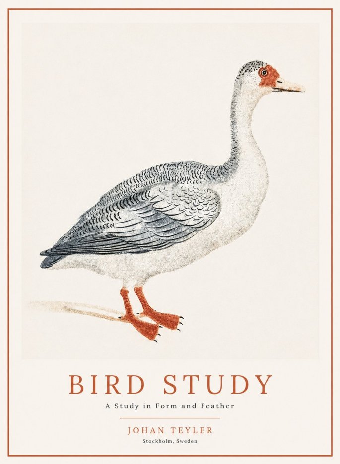 Johan Teyler Goose Study No2 - Plakát