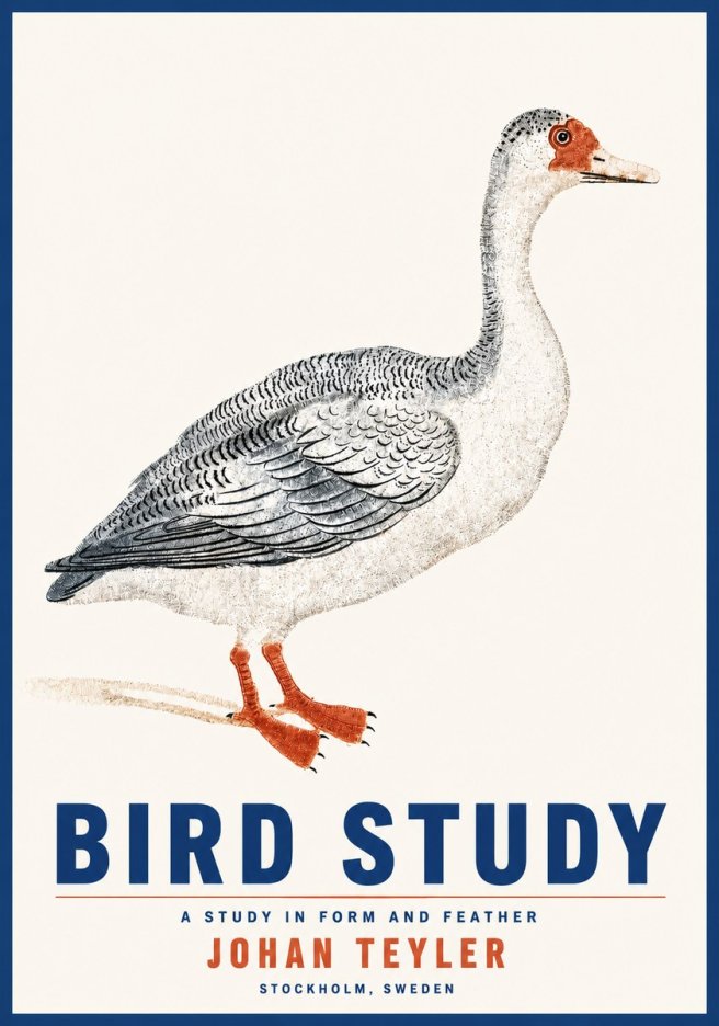 Johan Teyler Goose Study No5 - Plakát