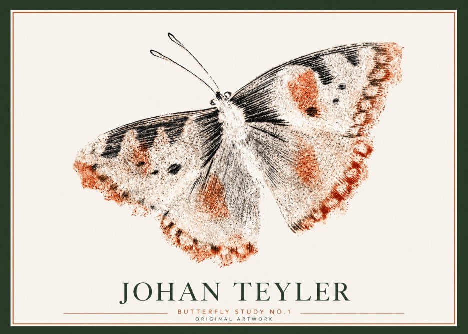 Johan Teyler Butterfly Study No.1 No3 - Plakát