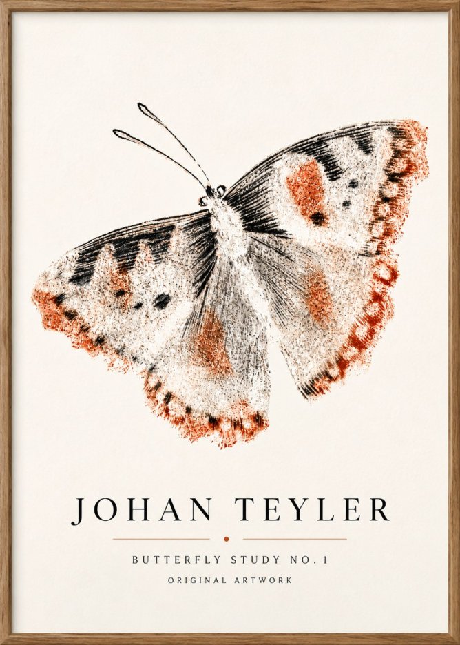 Johan Teyler Butterfly Study No.1 No5 - Plakát
