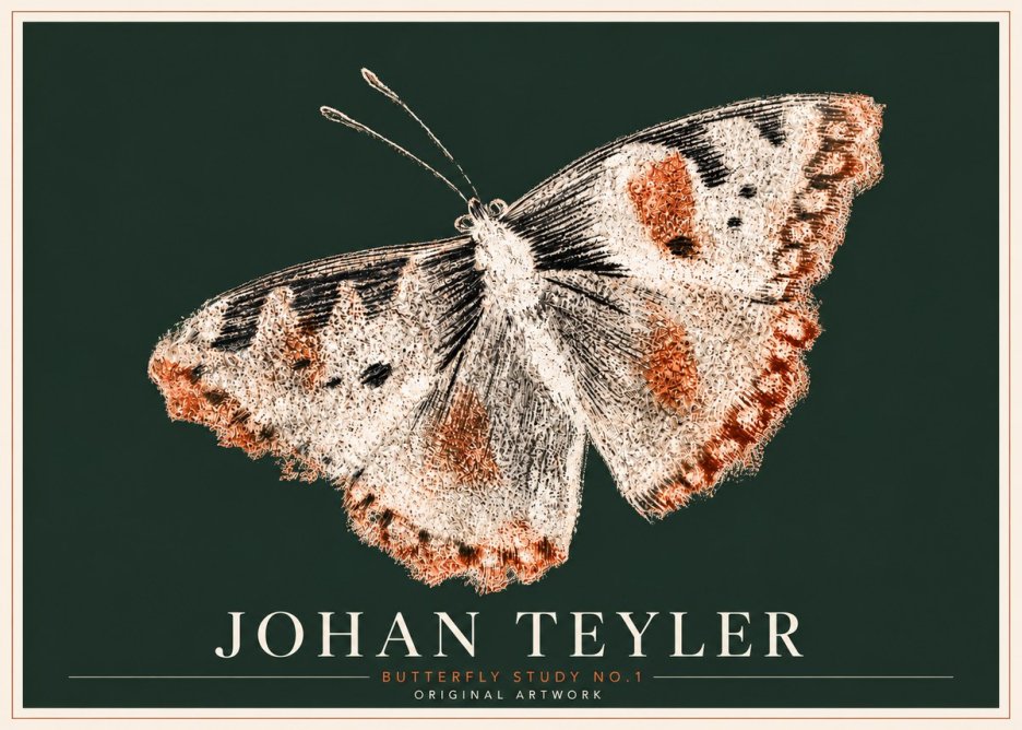 Johan Teyler Butterfly Study No.1 No6 - Plakát