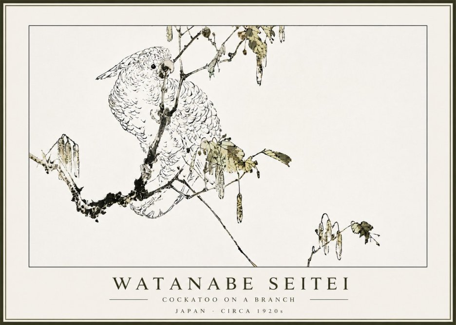 Watanabe Seitei Cockatoo on a Branch No5 - Plakát