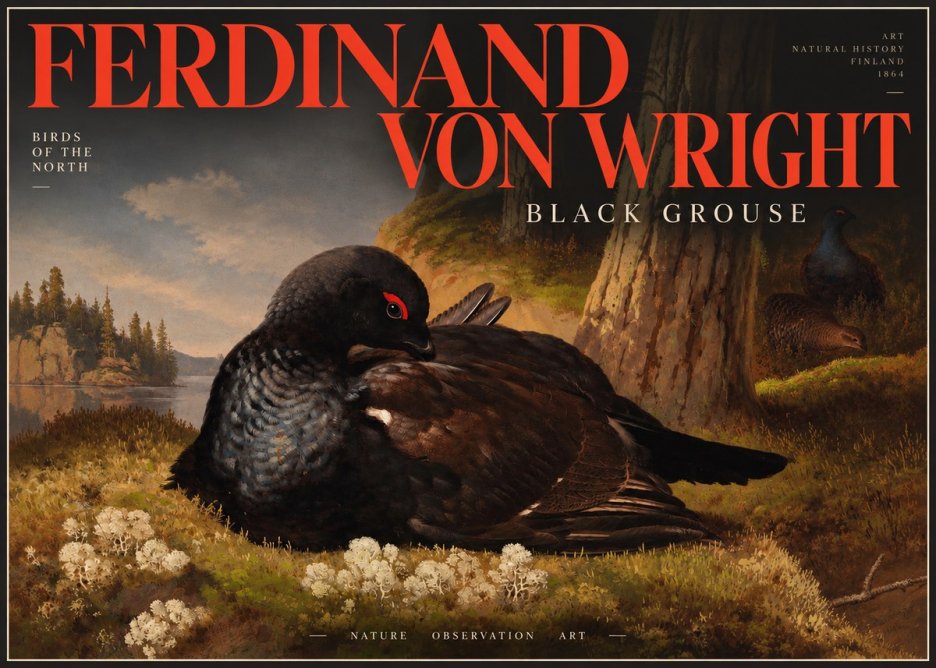 Ferdinand von Wright The Black Grouse No4 - Plakát