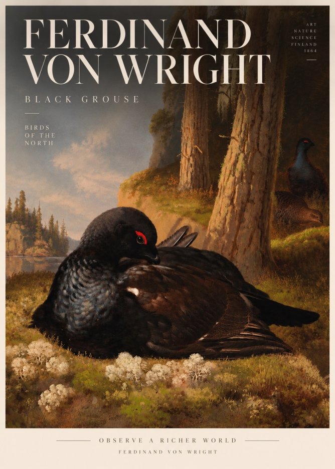 Ferdinand von Wright The Black Grouse No5 - Plakát