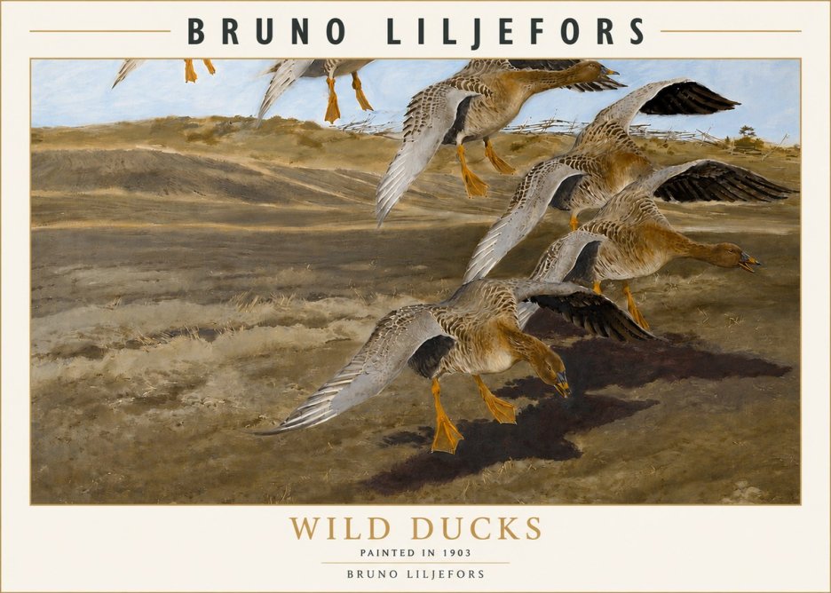 Bruno Liljefors Wild Ducks I No3 - Plakát