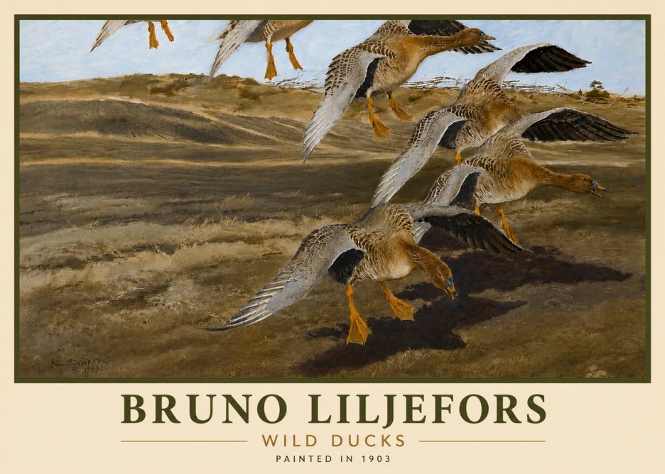 Bruno Liljefors Wild Ducks I No6 - Plakát