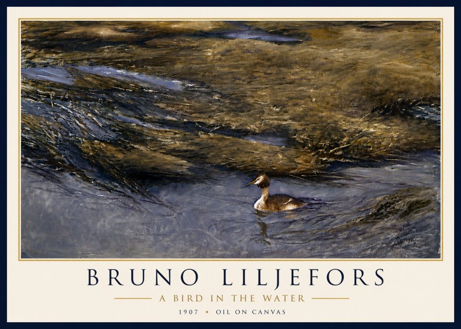 Bruno Liljefors A Bird in the Water No6 - Plakát