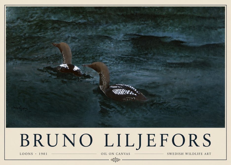 Bruno Liljefors Loons · 1901 No3 - Plakát