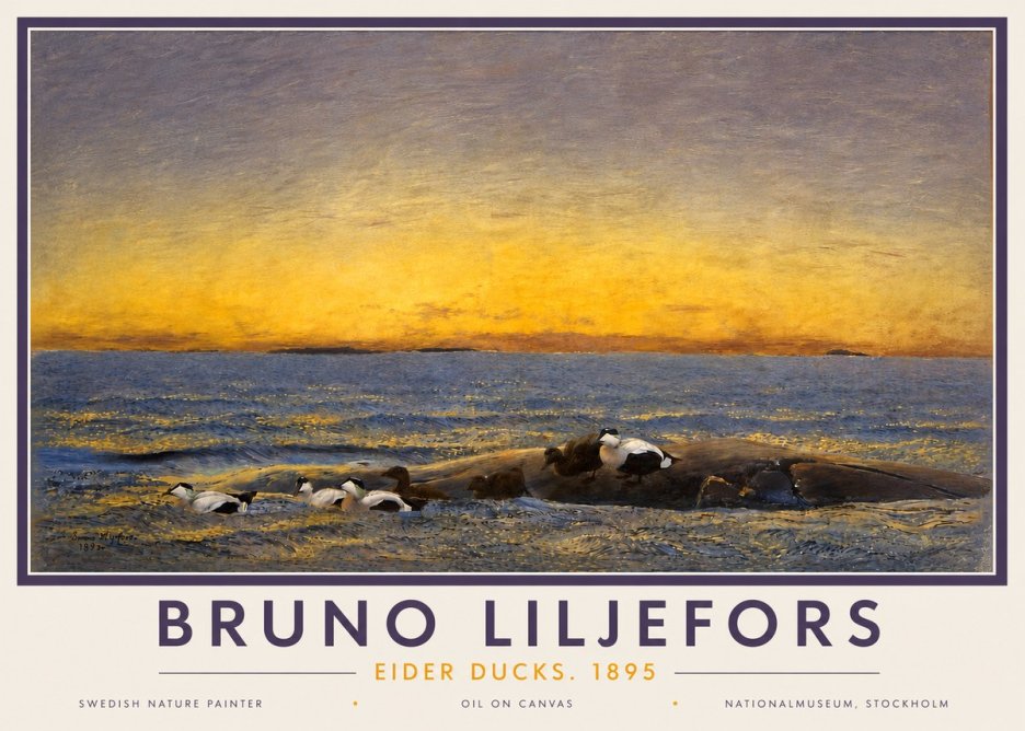 Bruno Liljefors Eider Ducks. 1895 No4 - Plakát