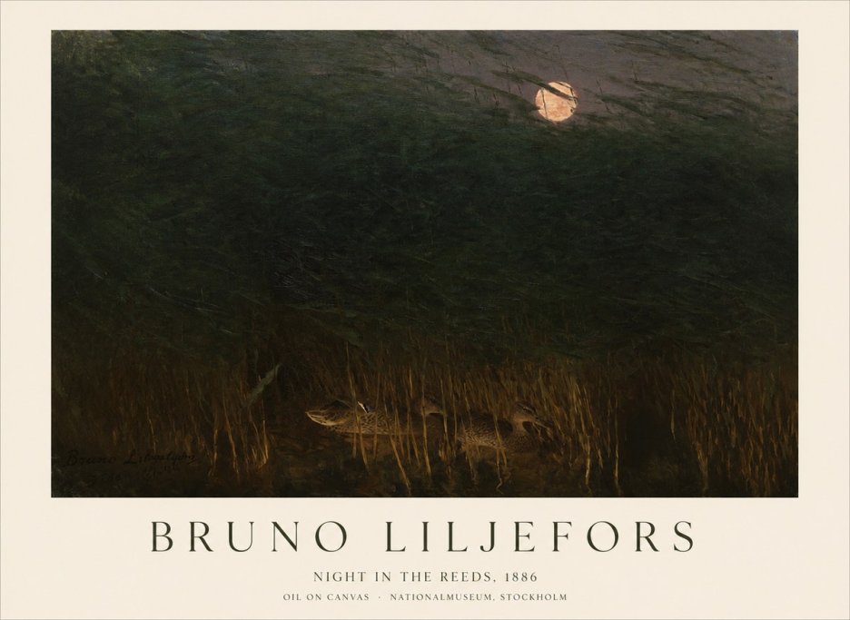 Bruno Liljefors Night in the Reeds No1 - Plakát