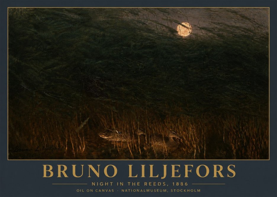 Bruno Liljefors Night in the Reeds No5 - Plakát