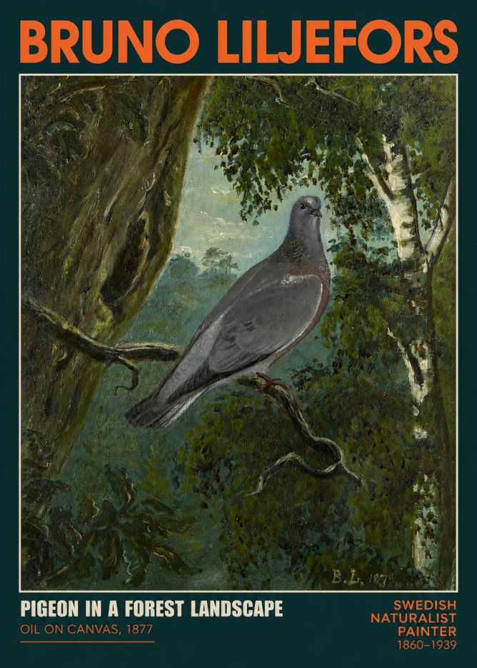 Bruno Liljefors Pigeon in a Forest Landscape No2 - Plakát