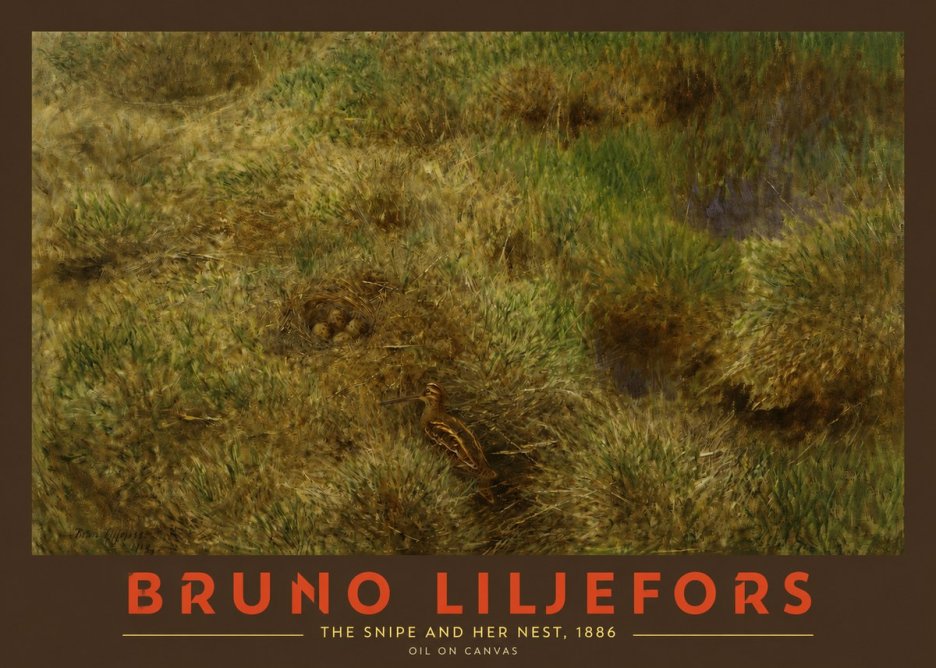 Bruno Liljefors The Snipe and Her Nest No2 - Plakát