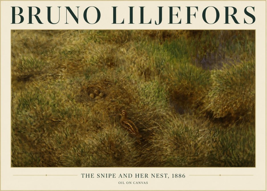 Bruno Liljefors The Snipe and Her Nest No3 - Plakát
