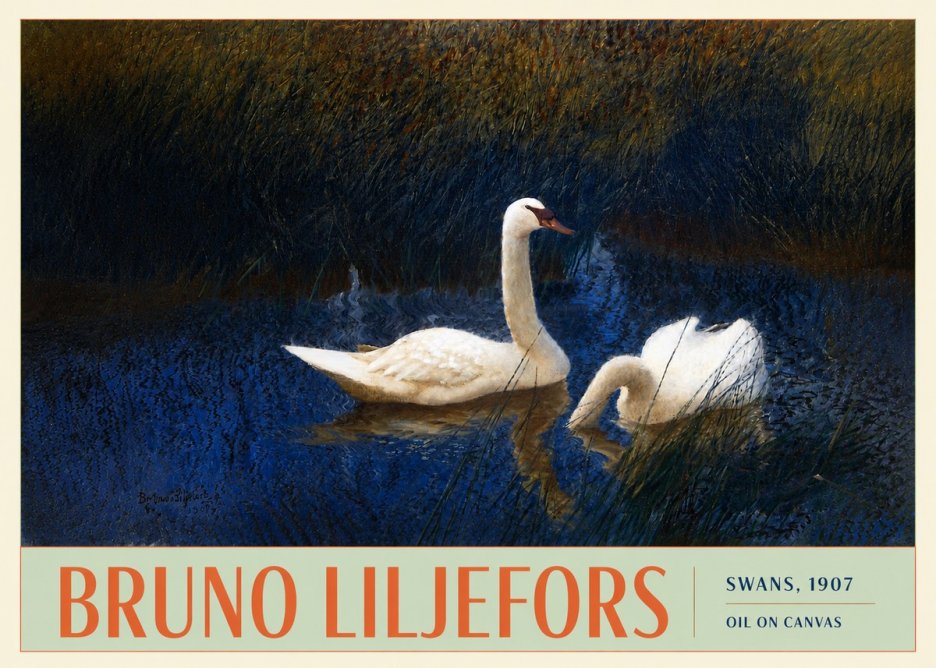Bruno Liljefors Swans, 1907 No3 - Plakát