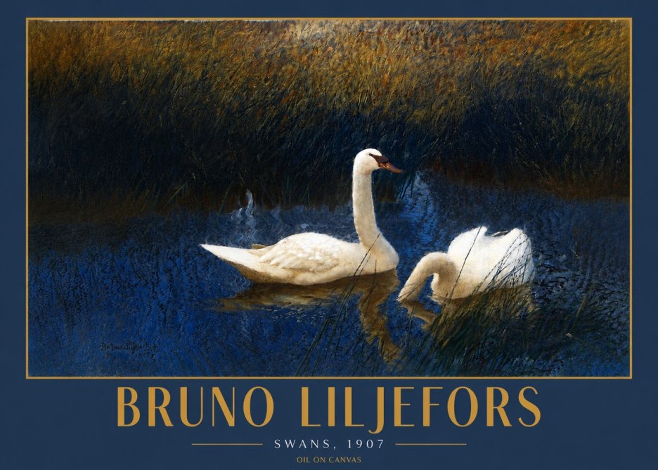 Bruno Liljefors Swans, 1907 No4 - Plakát