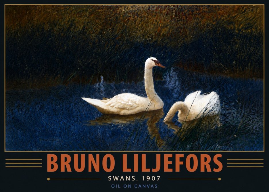Bruno Liljefors Swans, 1907 No6 - Plakát