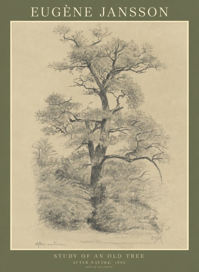 Eugène Jansson Study of an Old Tree No1 - Plakát