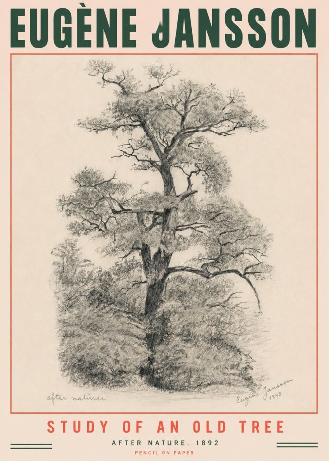 Eugène Jansson Study of an Old Tree No3 - Plakát