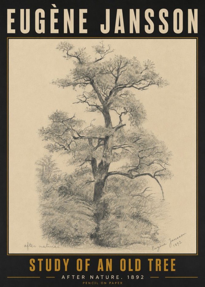 Eugène Jansson Study of an Old Tree No5 - Plakát