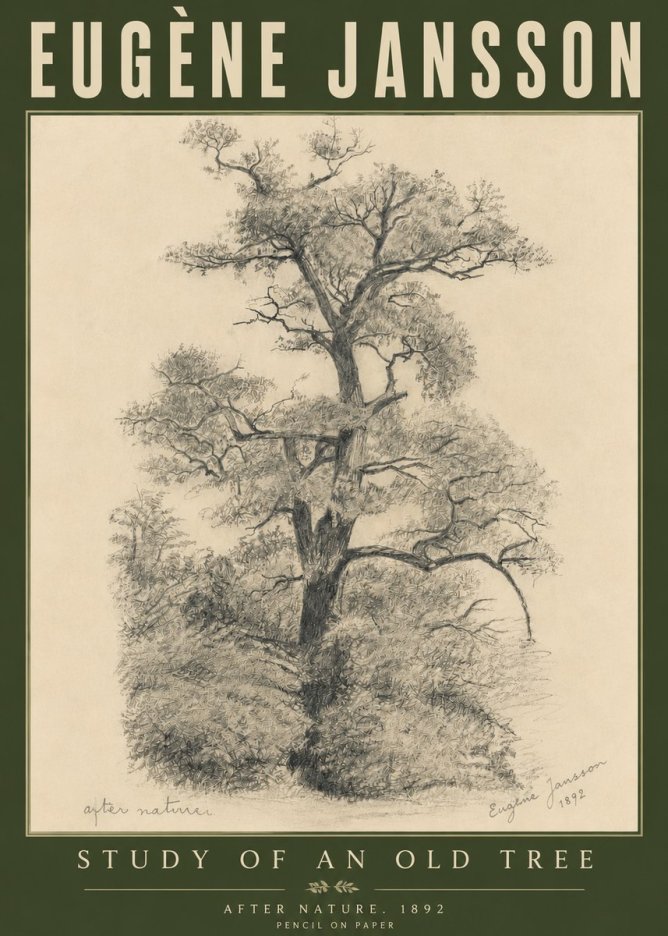 Eugène Jansson Study of an Old Tree No6 - Plakát