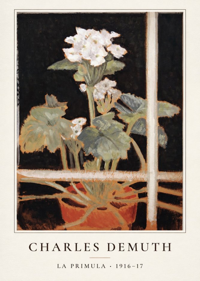 Charles Demuth La Primula No4 - Plakát