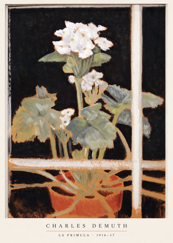 Charles Demuth La Primula No6 - Plakát