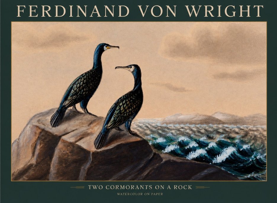 Ferdinand von Wright Two Cormorants on a Rock No1 - Plakát