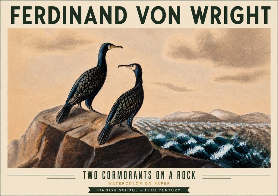 Ferdinand von Wright Two Cormorants on a Rock No6 - Plakát