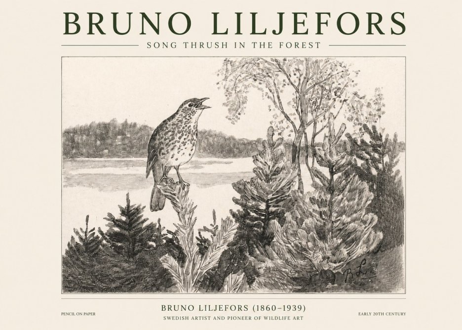 Bruno Liljefors Song Thrush in the Forest No1 - Plakát