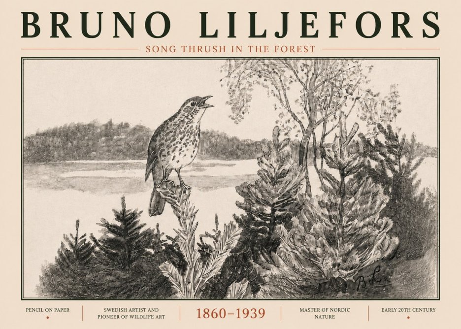 Bruno Liljefors Song Thrush in the Forest No5 - Plakát